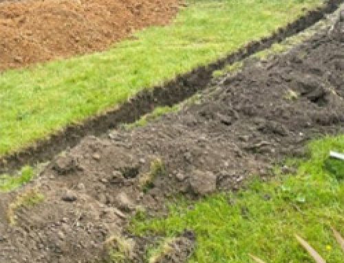 Is Your Garden in Croydon Overgrown? Here’s Why You Might Need a Professional Clearance Service